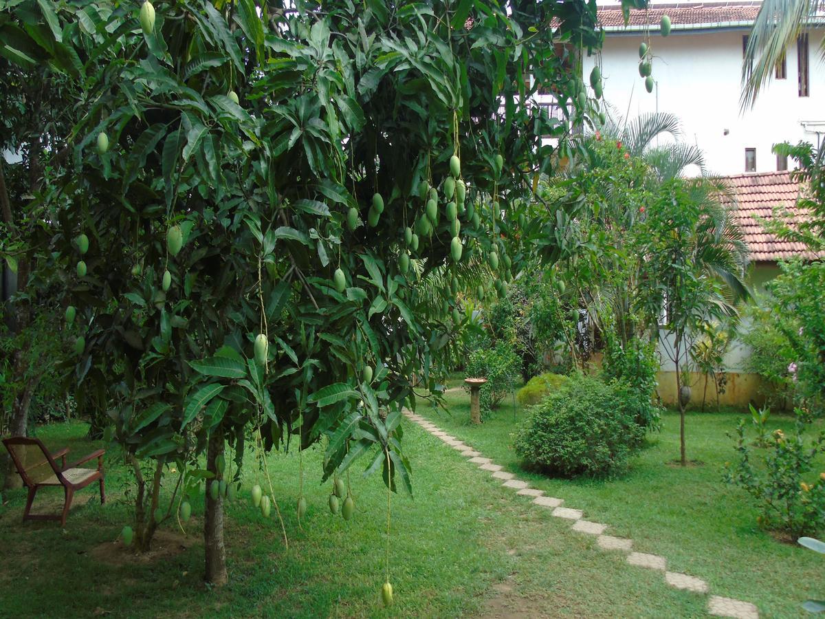 Secret Bay Otel Matara Dış mekan fotoğraf