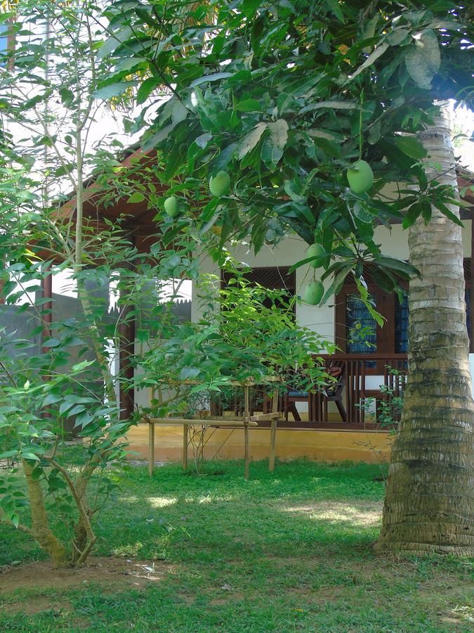 Secret Bay Otel Matara Dış mekan fotoğraf