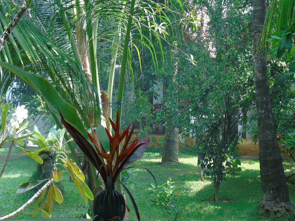 Secret Bay Otel Matara Dış mekan fotoğraf